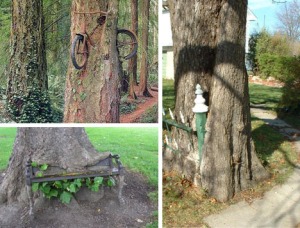 trees-eating-objects